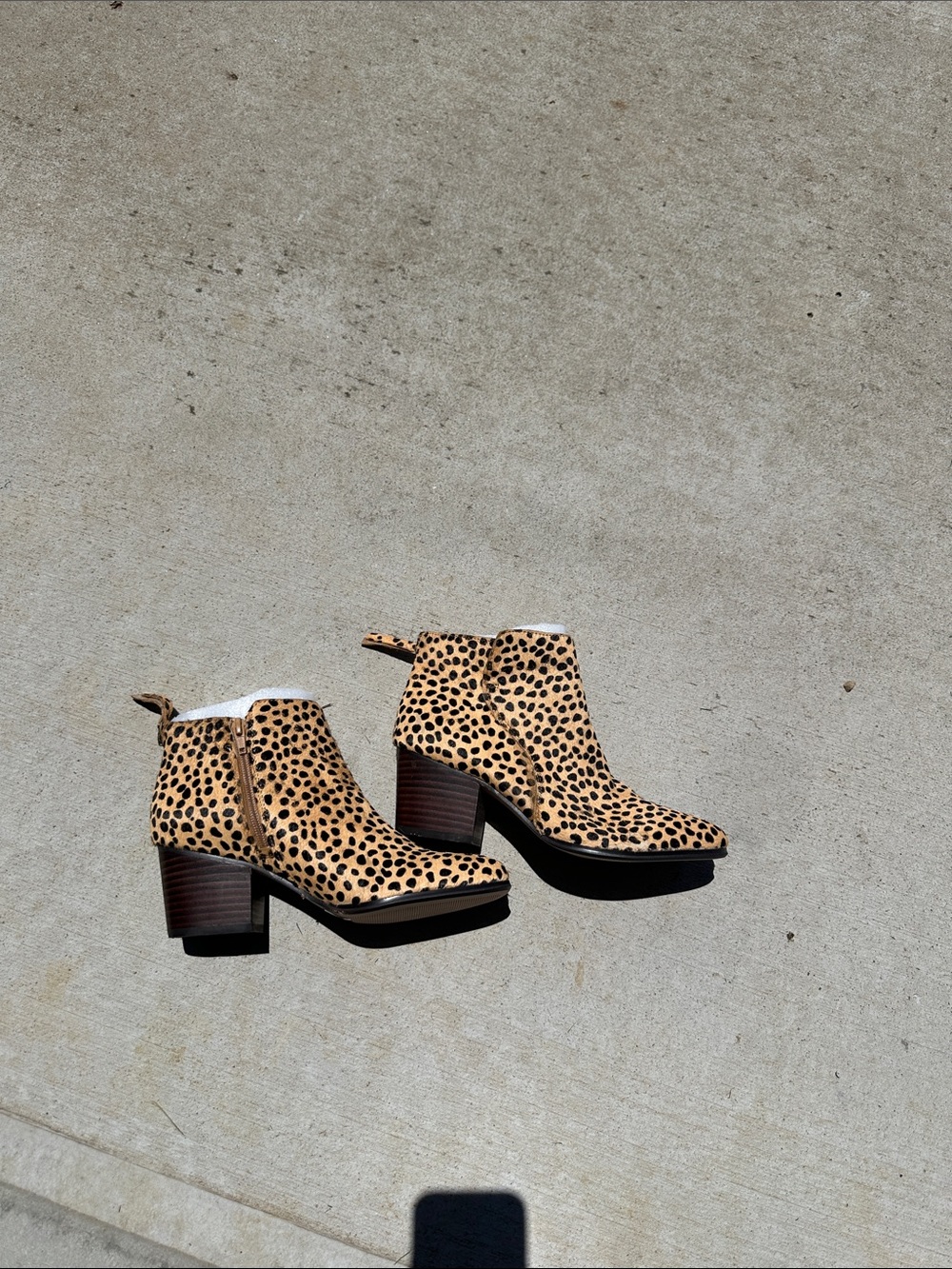 Sole Society Leopard-Print Ankle Booties in Tan and Black